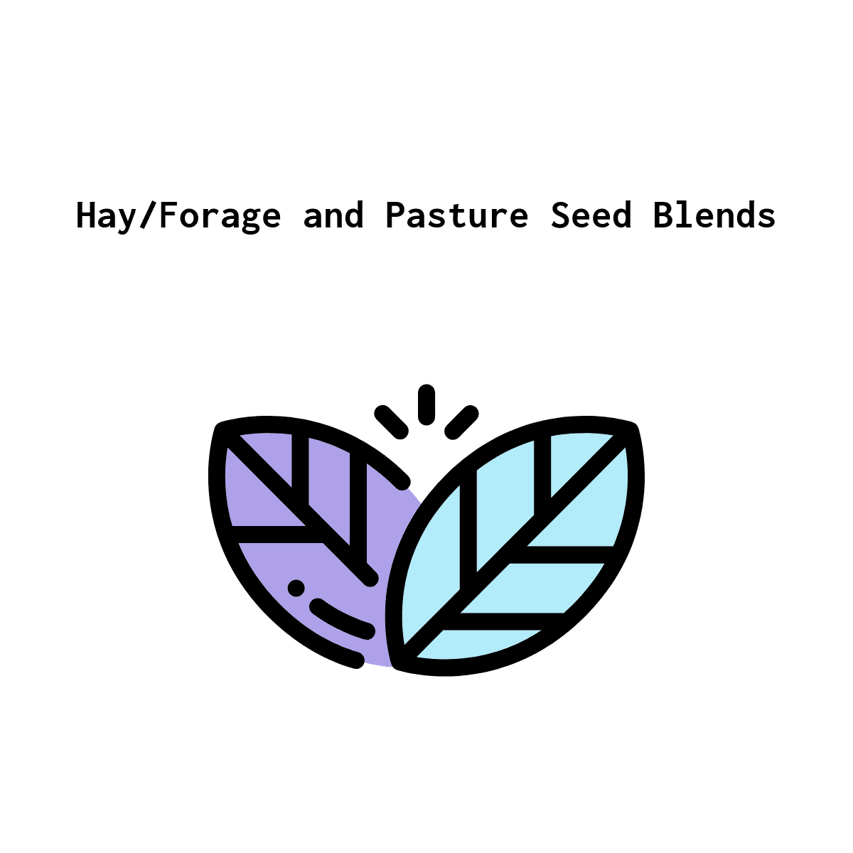 01. All-Purpose Seed Blends