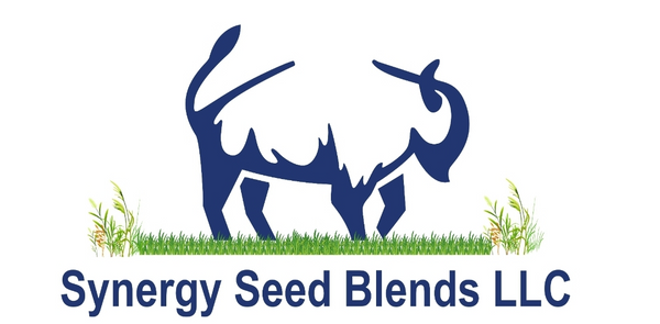 Synergy Seed Blends