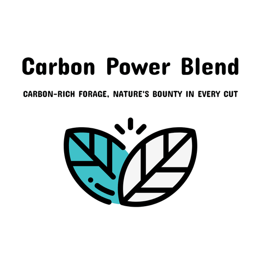 09. Carbon Power Blend