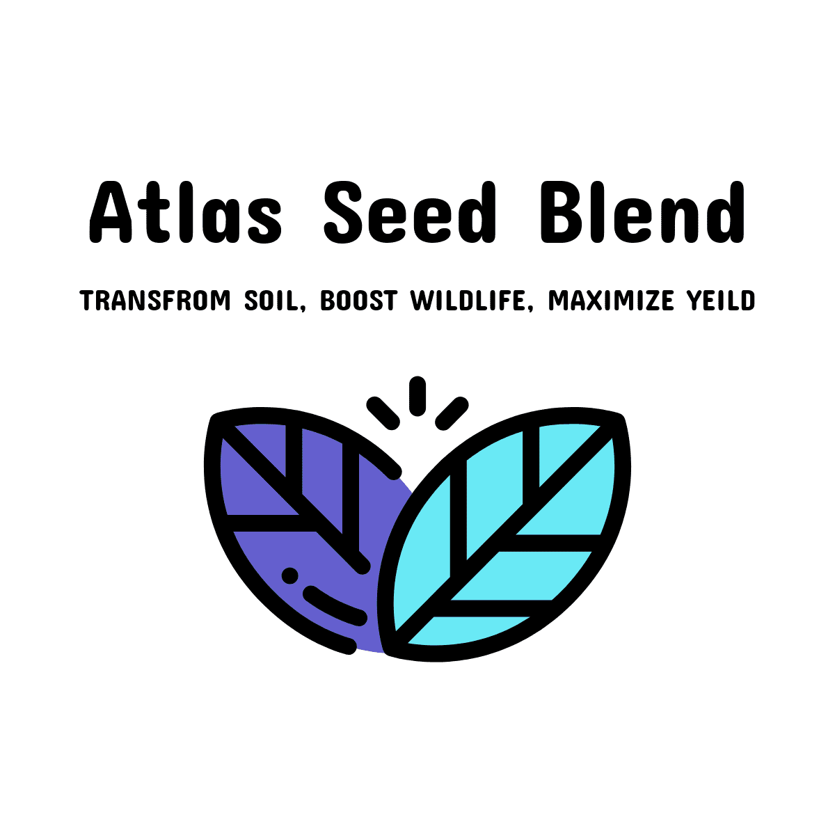 01. Atlas Seed Blend