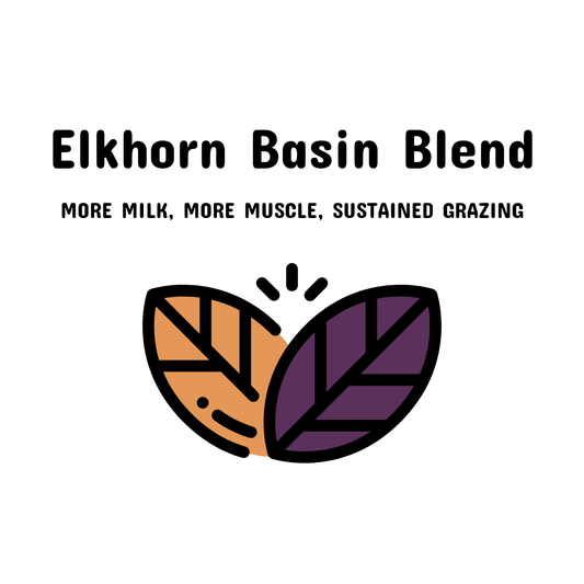 11. Elkhorn Basin Blend