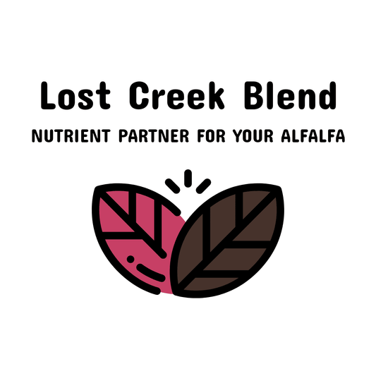 06. Lost Creek Blend