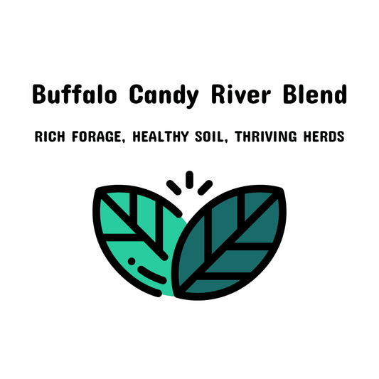 08. Buffalo Candy River Blend